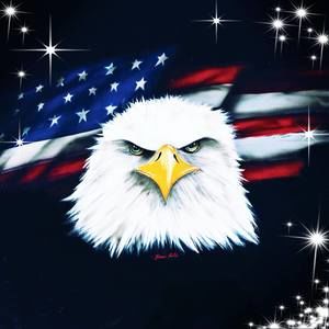 Meet your Posher, Phuoc